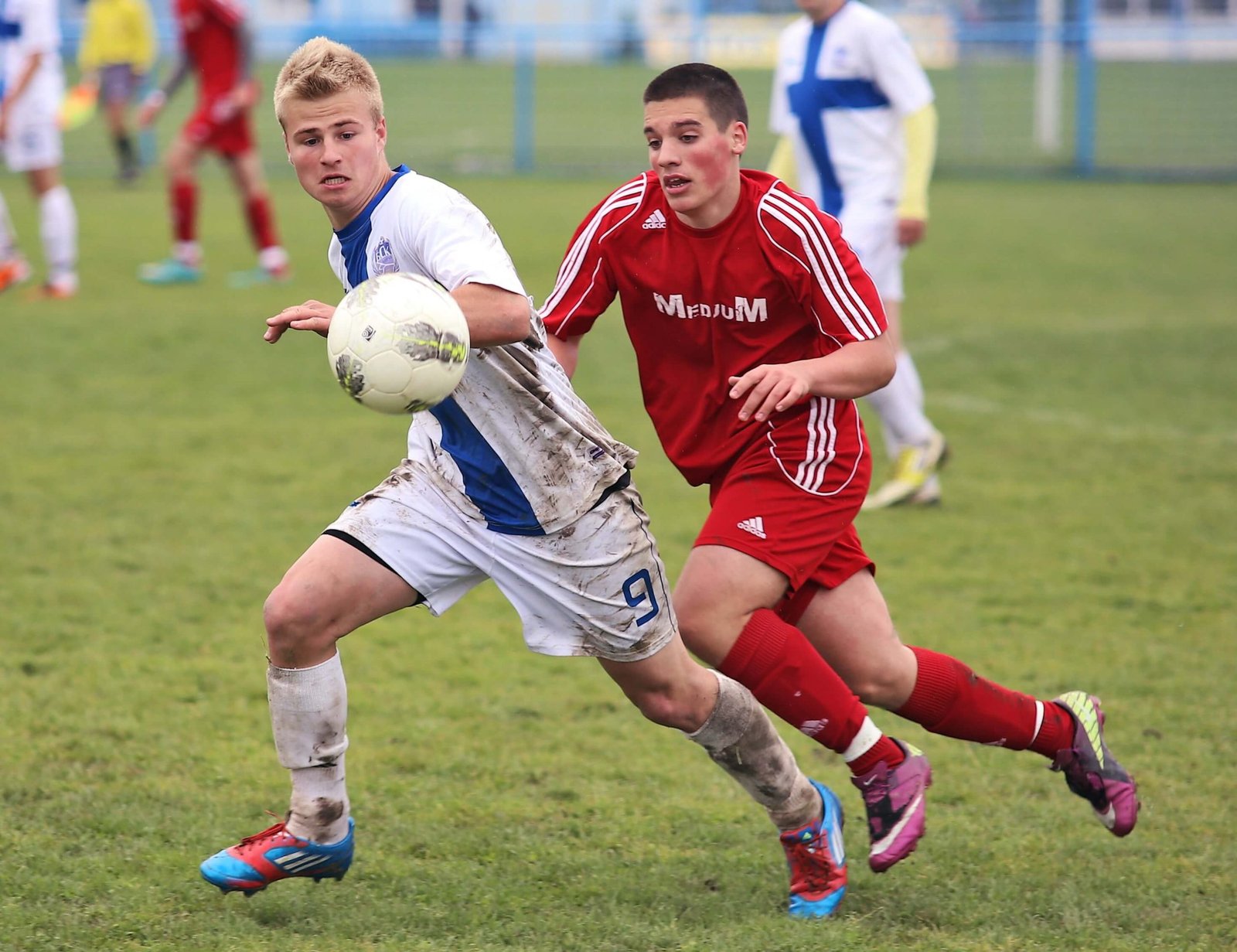 sport-game-soccer-football-stadium-player-989950-pxhere.com